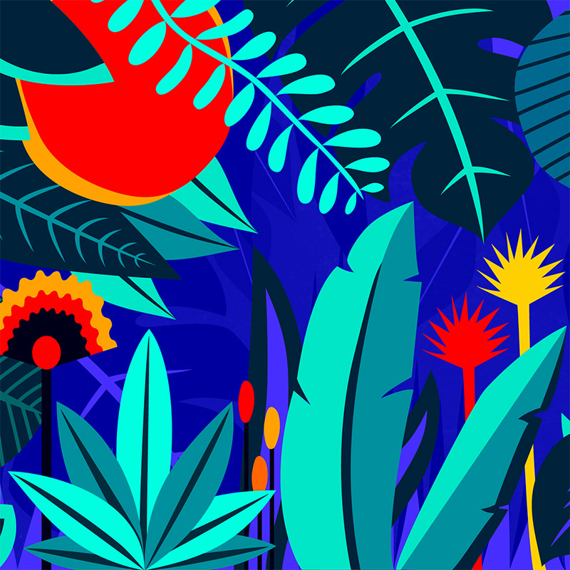 How Human Evolution Influences Good Design