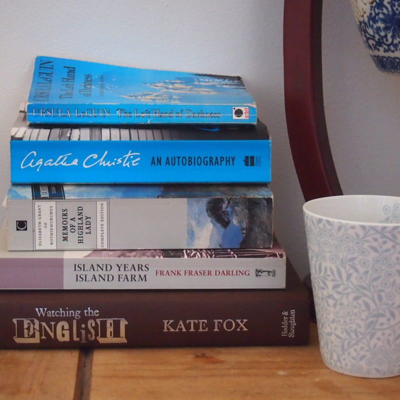 A Novel Approach: Fiction for Budding Ethnographers