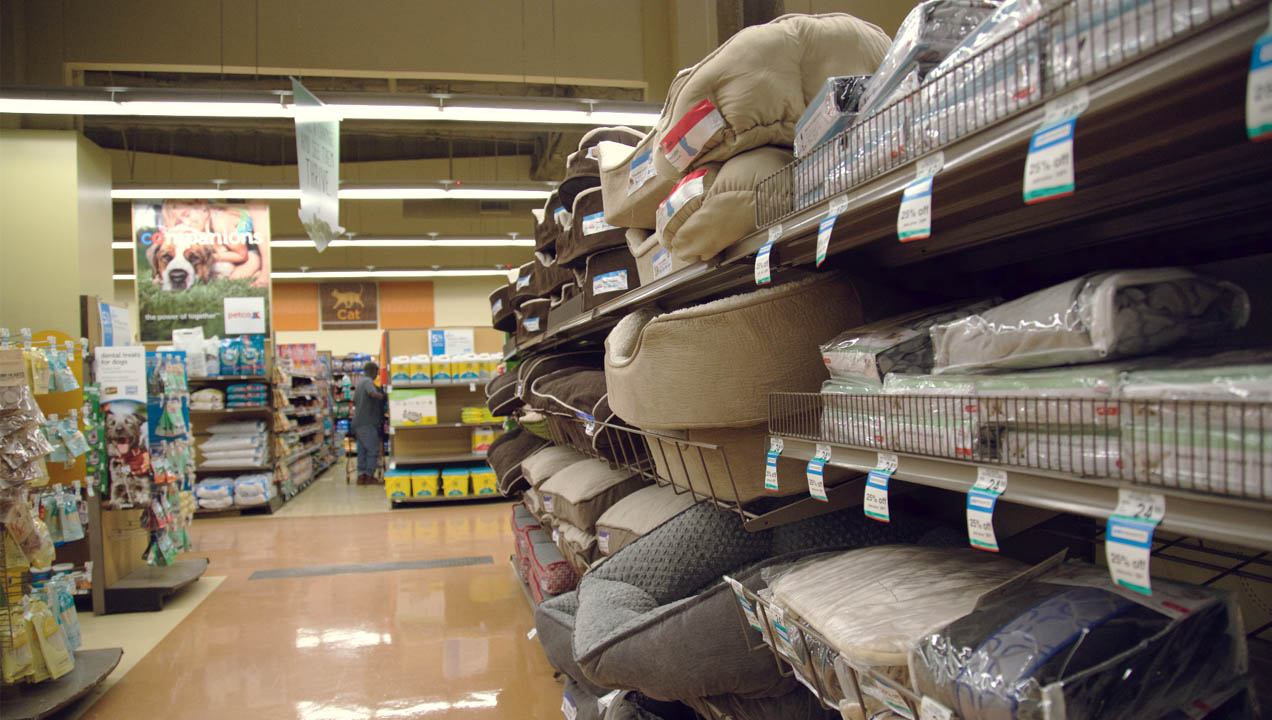 Pet store dog beds