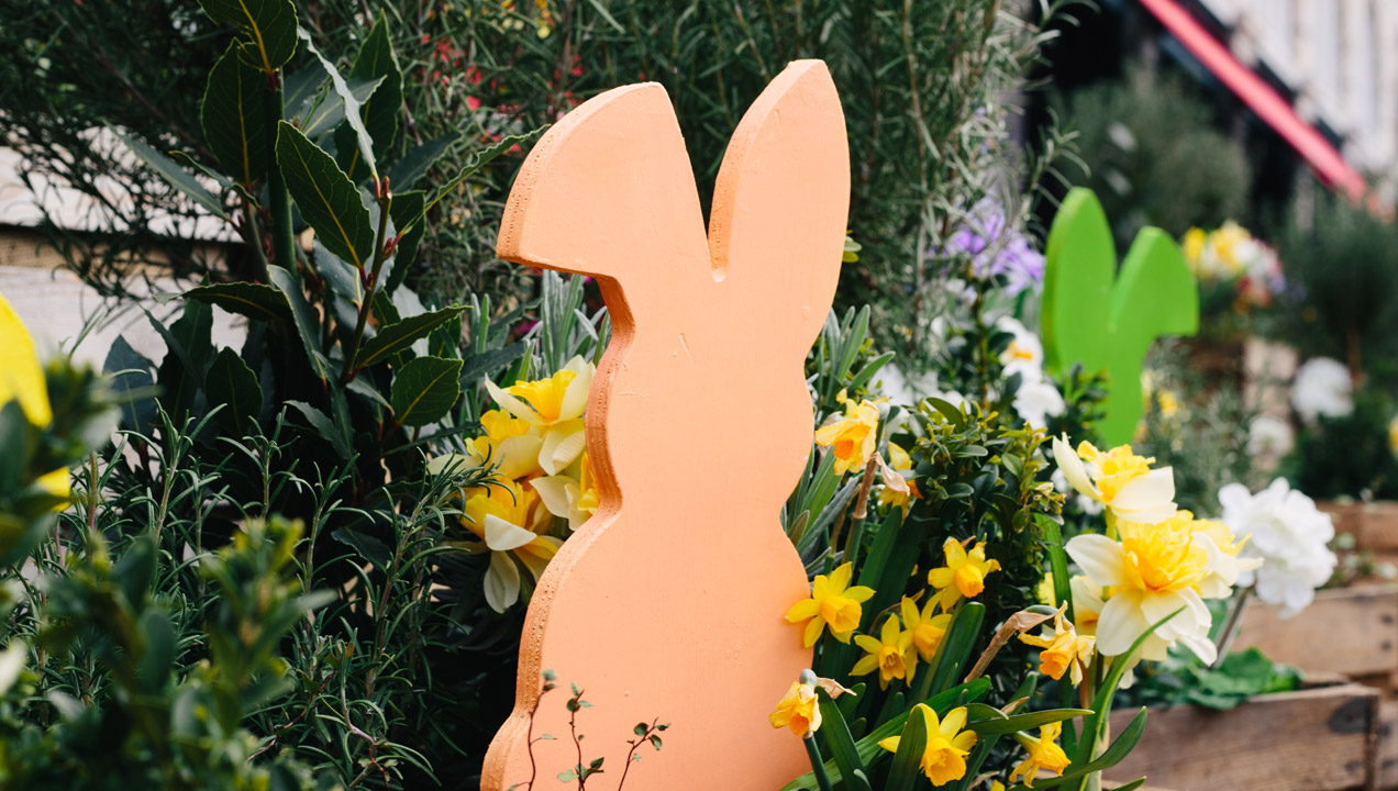 Wooden rabbit in plant pot