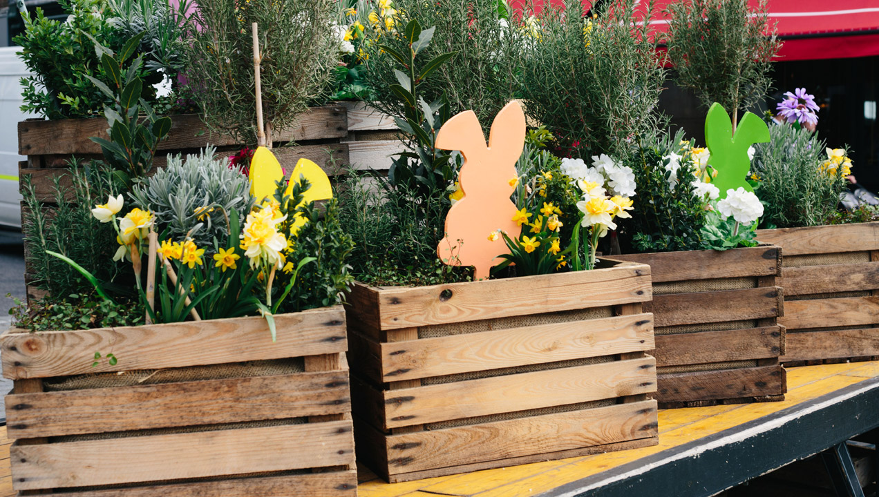 Easter bunnies in flower boxes