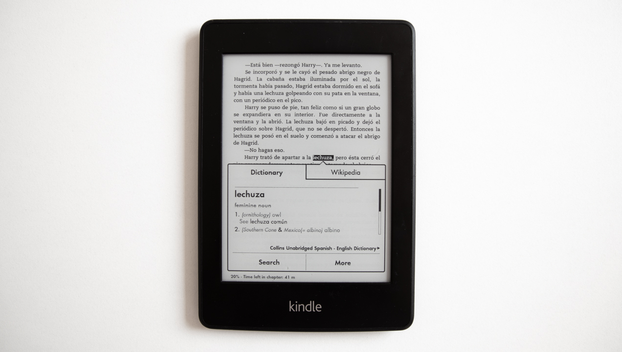 A picture of the dictionary app on the kindle