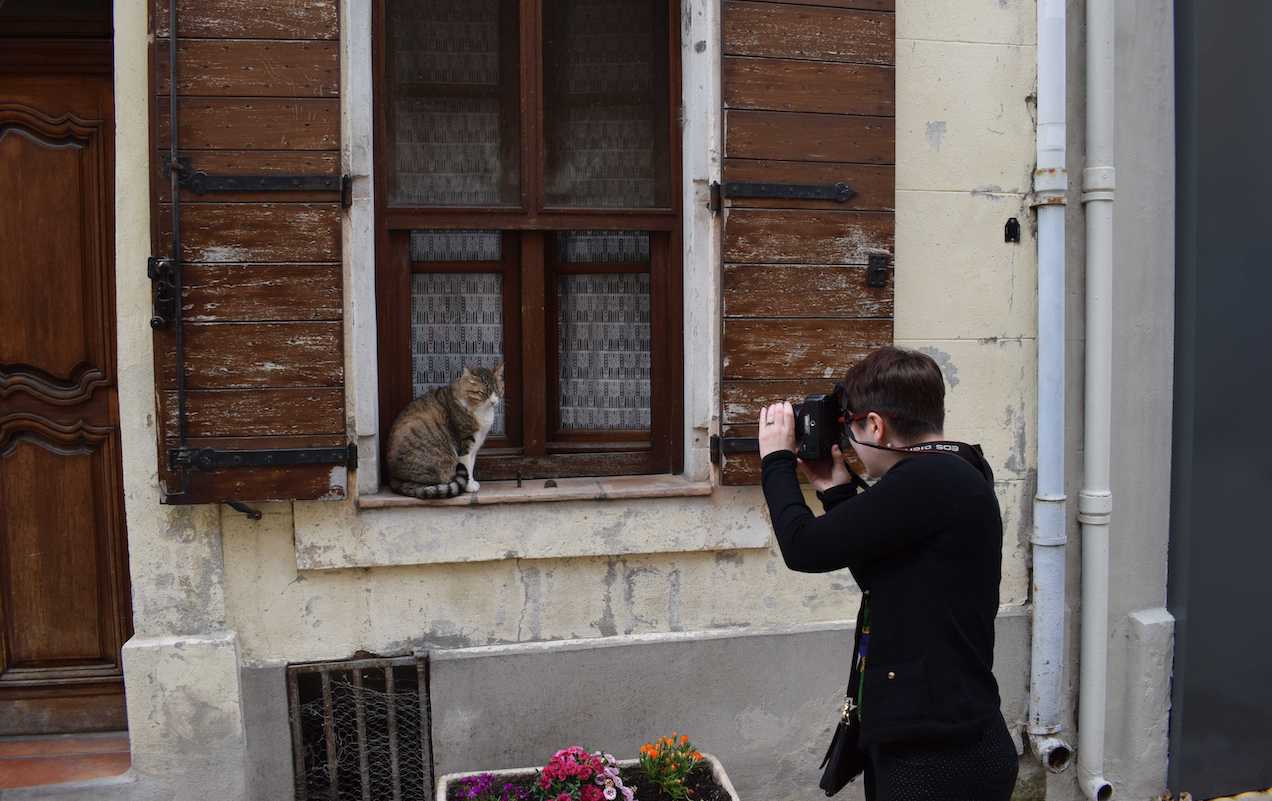 Woman taking photograph of cat